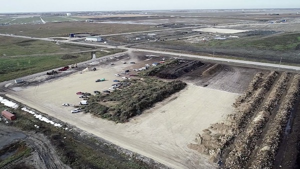Trees - Brady Landfill
