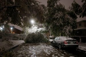 Winnipeg Snow
