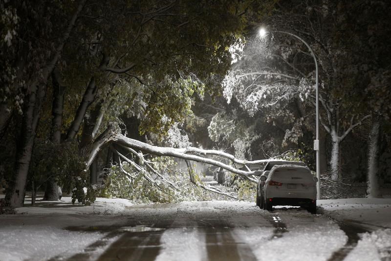 Winnipeg Storm - Snow