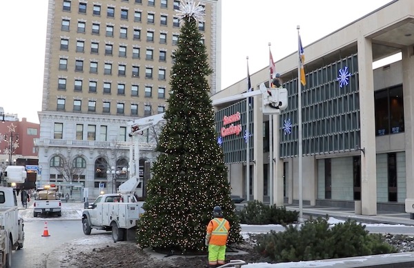 City Hall Christmas Tree