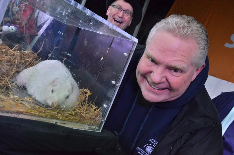 Doug Ford - Wiarton Willie